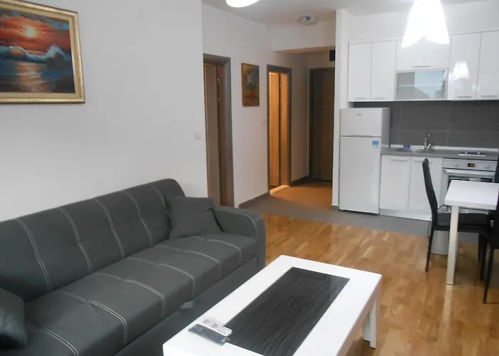 Apartment Kolevski *